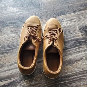 Lacost khaki Sneakers